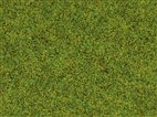 Noch 08300 - Streugras "Frühlingswiese" 2,5 mm, 20 g