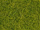 Noch 08363 - Streugras "hellgrün" 4 mm, 20 g